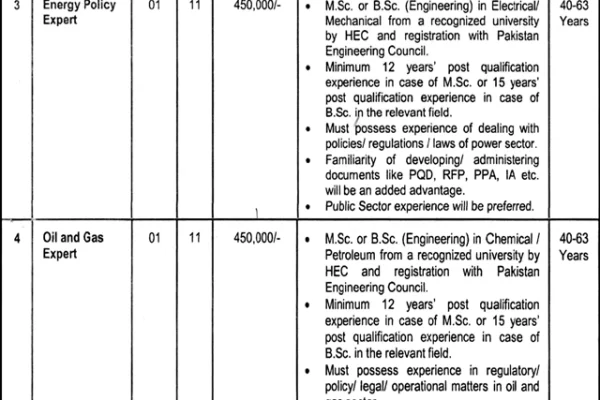 Energy Department Government of Punjab Jobs Advertisement 2024