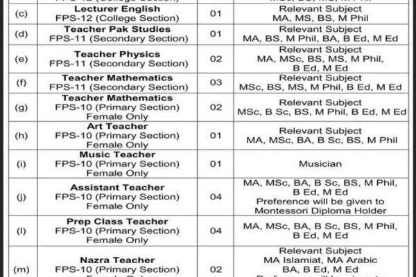 College Lecturer Jobs in Air Base Inter College Mushaf, Sargodha Advertisement July 2024