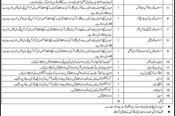 Public Sector Organization Jobs in Sindh Advertisement July 2024