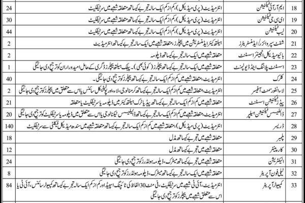 Clerk, Telphone Operator, Computer Operator, Nursing & Many Jobs at Liaquat University