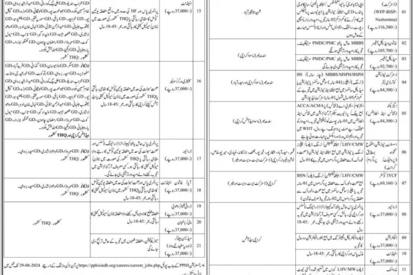 Multiple Jobs in Redefining Primary Healthcare August 2024