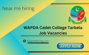 Lecturer Jobs August 2024 at Wapda Cadet College Tarbela