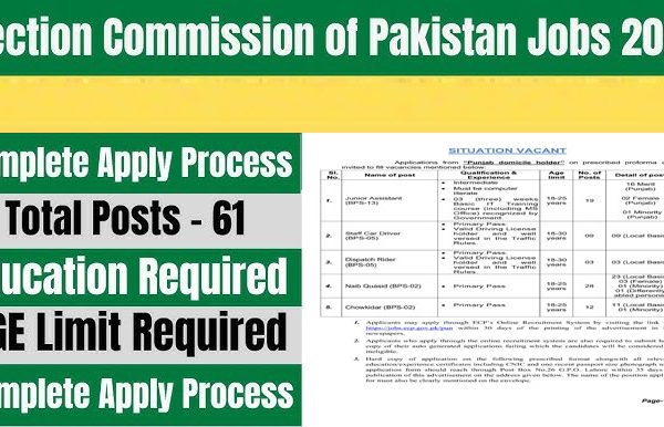 Assistant, Driver, Dispatch Rider, and Other jobs at the Election Commission