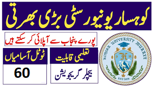 Treasure, Controller Examination, and Other Job Positions at Kohsar University