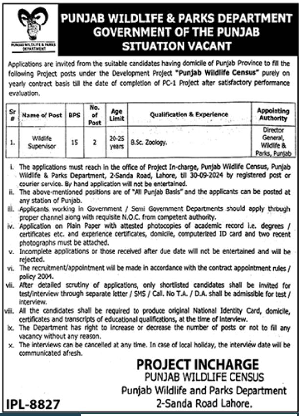 Punjab Wildlife & Perks Department Jobs Opportunities Latest Jobs